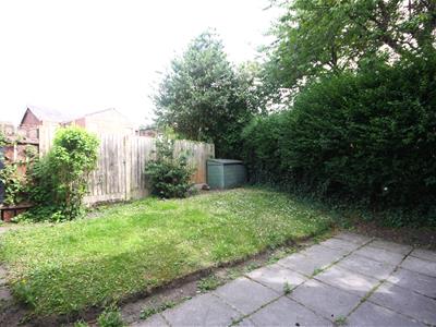 Picture 13